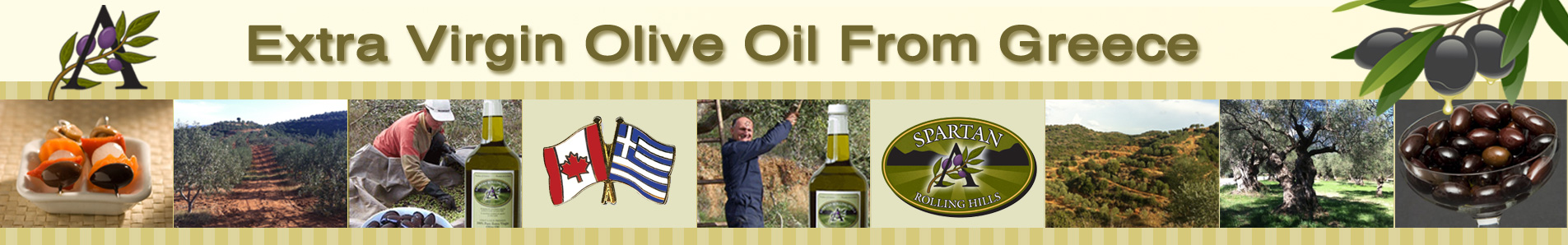 Extra Virgin Olive Oil From Greece